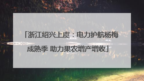 浙江绍兴上虞：电力护航杨梅成熟季 助力果农增产增收