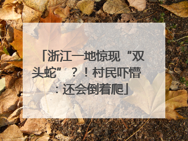 浙江一地惊现“双头蛇”？！村民吓懵：还会倒着爬