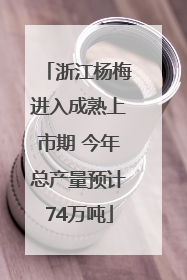 浙江杨梅进入成熟上市期 今年总产量预计74万吨