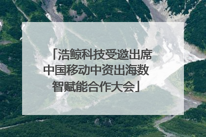 浩鲸科技受邀出席中国移动中资出海数智赋能合作大会