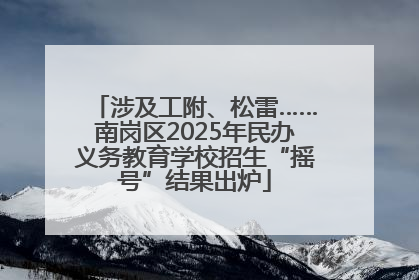 涉及工附、松雷……南岗区2025年民办义务教育学校招生“摇号”结果出炉