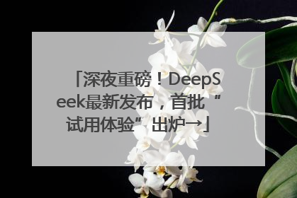深夜重磅！DeepSeek最新发布，首批“试用体验”出炉→