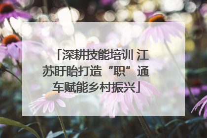 深耕技能培训 江苏盱眙打造“职”通车赋能乡村振兴