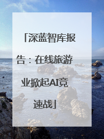 深蓝智库报告：在线旅游业掀起AI竞速战