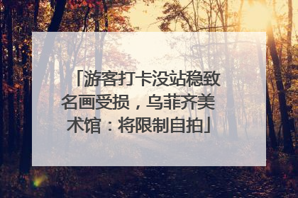 游客打卡没站稳致名画受损，乌菲齐美术馆：将限制自拍