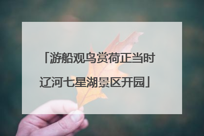 游船观鸟赏荷正当时 辽河七星湖景区开园