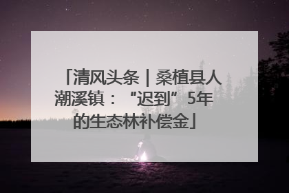 清风头条｜桑植县人潮溪镇：“迟到”5年的生态林补偿金