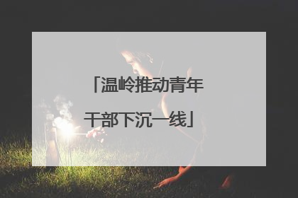 温岭推动青年干部下沉一线