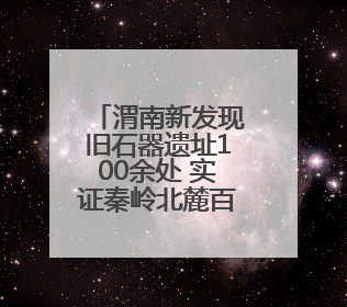 渭南新发现旧石器遗址100余处 实证秦岭北麓百万年人类生存演化史