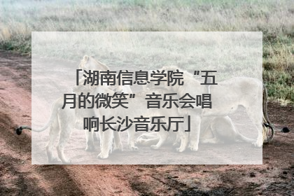 湖南信息学院“五月的微笑”音乐会唱响长沙音乐厅
