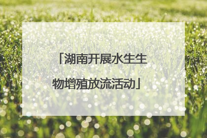 湖南开展水生生物增殖放流活动