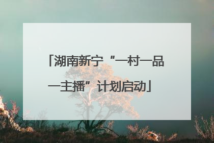 湖南新宁“一村一品一主播”计划启动