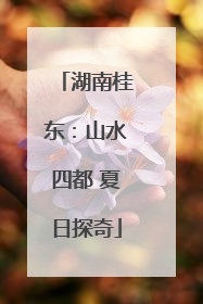 湖南桂东：山水四都 夏日探奇