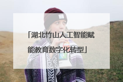湖北竹山人工智能赋能教育数字化转型