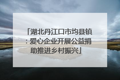 湖北丹江口市均县镇：爱心企业开展公益捐助推进乡村振兴