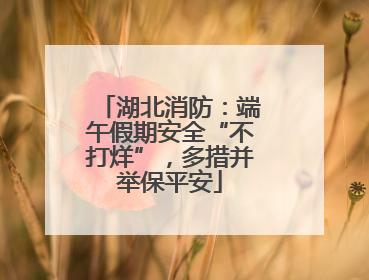 湖北消防：端午假期安全“不打烊”，多措并举保平安