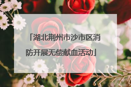 湖北荆州市沙市区消防开展无偿献血活动