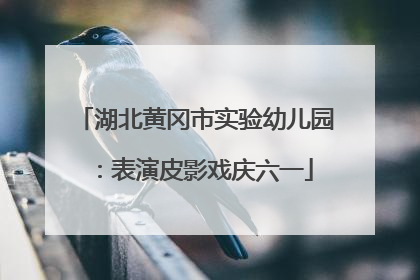 湖北黄冈市实验幼儿园：表演皮影戏庆六一