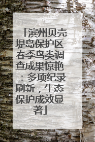 滨州贝壳堤岛保护区春季鸟类调查成果惊艳：多项纪录刷新，生态保护成效显著