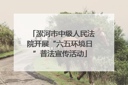 漯河市中级人民法院开展“六五环境日”普法宣传活动