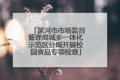 漯河市市场监督管理局城乡一体化示范区分局开展校园食品专项检查