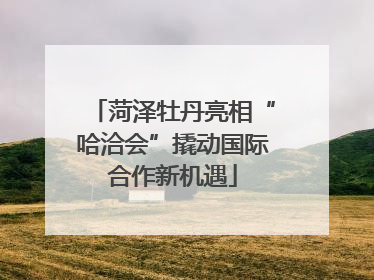 菏泽牡丹亮相“哈洽会”撬动国际合作新机遇