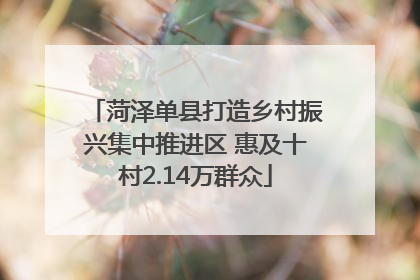 菏泽单县打造乡村振兴集中推进区 惠及十村2.14万群众