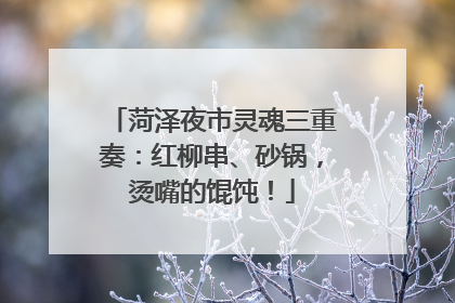 菏泽夜市灵魂三重奏：红柳串、砂锅，烫嘴的馄饨！