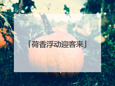 荷香浮动迎客来