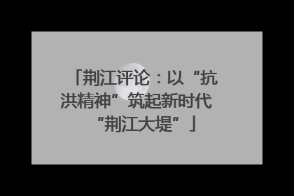 荆江评论：以“抗洪精神”筑起新时代“荆江大堤”