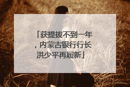 获提拔不到一年，内蒙古银行行长洪少平再履新