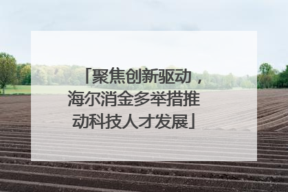 聚焦创新驱动，海尔消金多举措推动科技人才发展