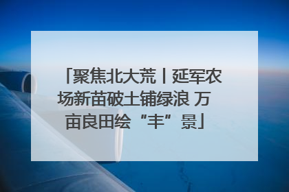 聚焦北大荒丨延军农场新苗破土铺绿浪 万亩良田绘“丰”景