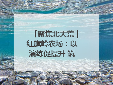 聚焦北大荒｜红旗岭农场：以演练促提升 筑牢平安基石