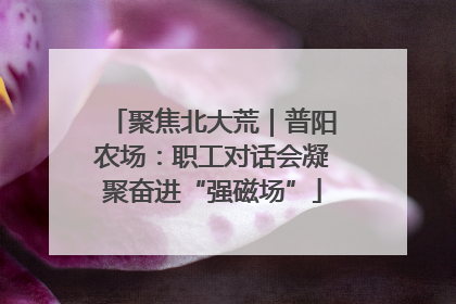 聚焦北大荒｜普阳农场：职工对话会凝聚奋进“强磁场”
