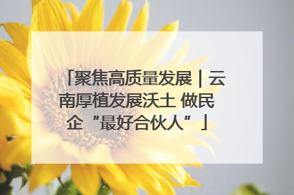 聚焦高质量发展｜云南厚植发展沃土 做民企“最好合伙人”