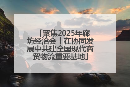 聚焦2025年廊坊经洽会丨在协同发展中共建全国现代商贸物流重要基地