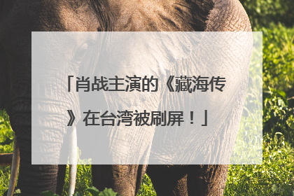 肖战主演的《藏海传》在台湾被刷屏！