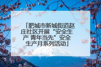 肥城市新城街道赵庄社区开展“安全生产 青年当先”安全生产月系列活动