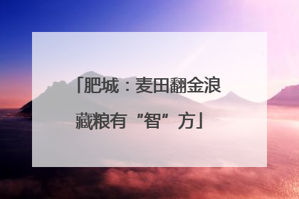 肥城：麦田翻金浪藏粮有“智”方