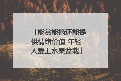 能赏能摘还能提供情绪价值 年轻人爱上水果盆栽