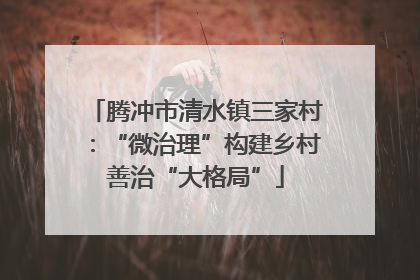 腾冲市清水镇三家村：“微治理”构建乡村善治“大格局”