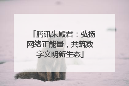 腾讯朱殿君：弘扬网络正能量，共筑数字文明新生态