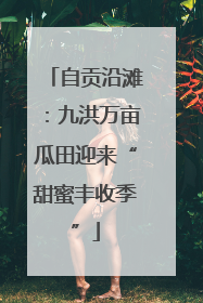 自贡沿滩：九洪万亩瓜田迎来“甜蜜丰收季”