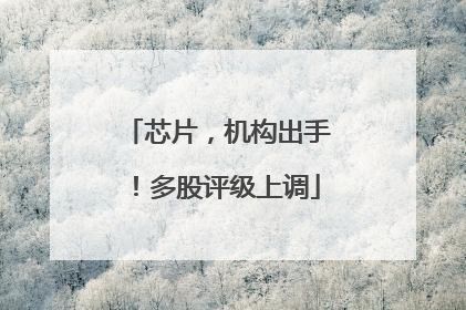 芯片，机构出手！多股评级上调