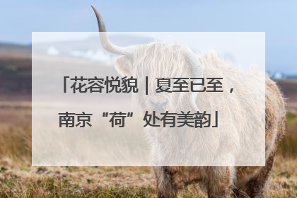 花容悦貌｜夏至已至，南京“荷”处有美韵