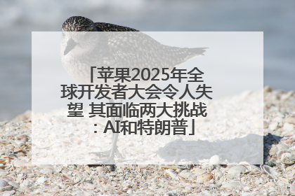 苹果2025年全球开发者大会令人失望 其面临两大挑战：AI和特朗普