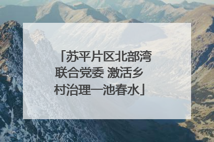 苏平片区北部湾联合党委 激活乡村治理一池春水