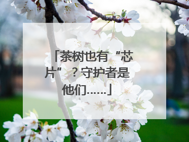 茶树也有“芯片”？守护者是他们……