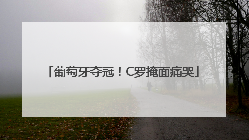 葡萄牙夺冠！C罗掩面痛哭